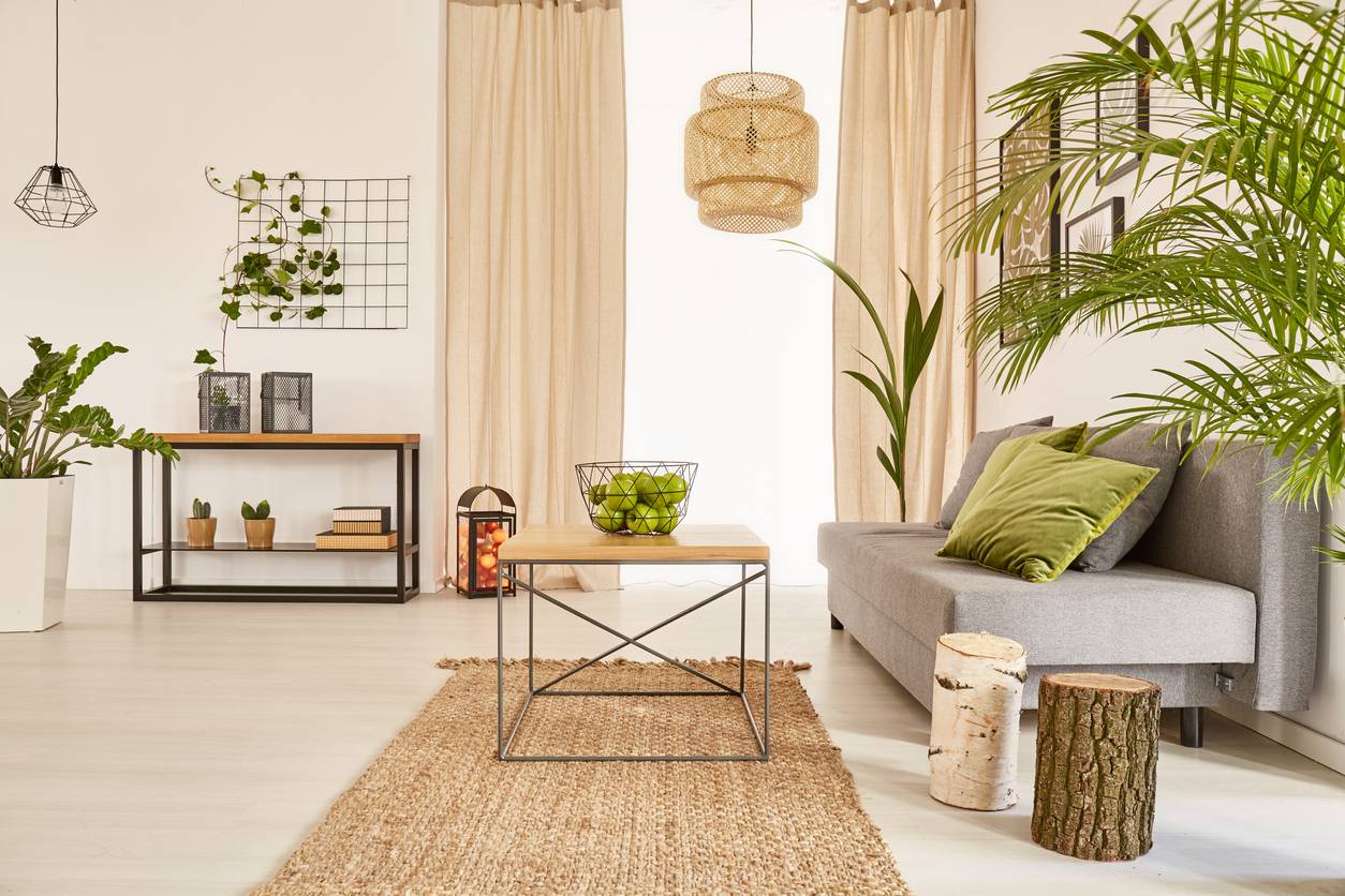 style de décoration intérieure naturel
