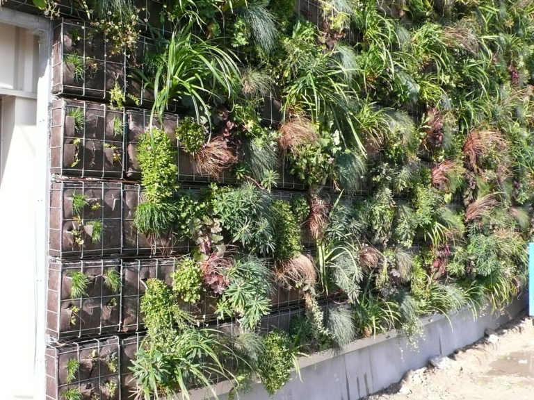 Idée déco et écolo pour l’extérieur le mur végétal Déco Facile — free download